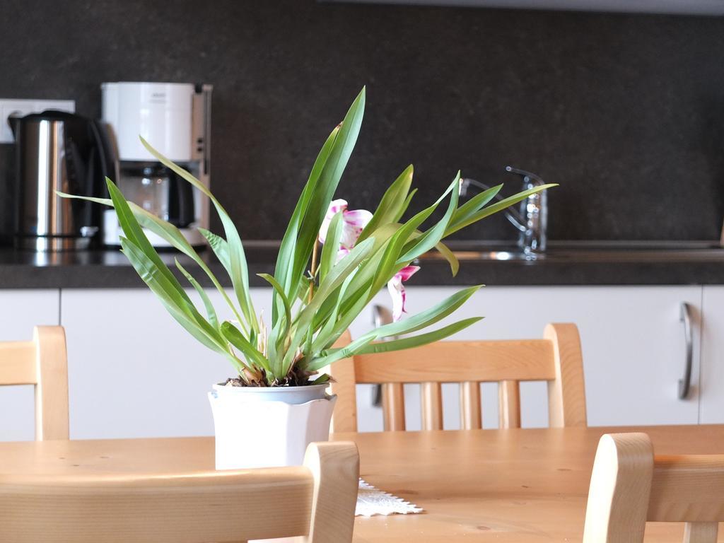 Apartament Haus Schlernblick Nova Ponente Pokój zdjęcie